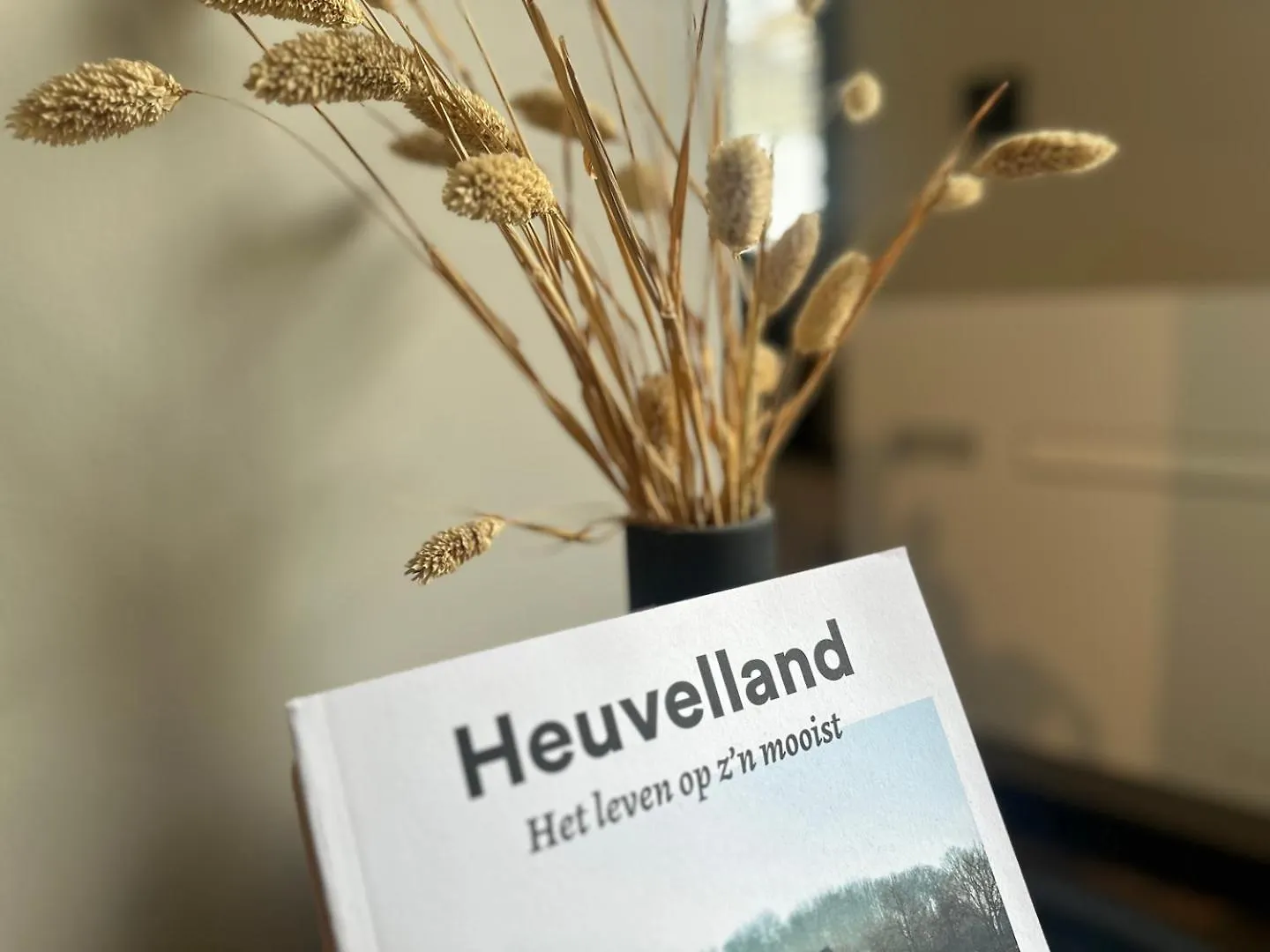 Bed&Breakfast 'Le Faucon' Valkenburg aan de Geul
